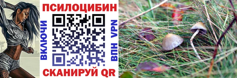 Купить Нюрба Галлюциногенные грибы Magic Shrooms